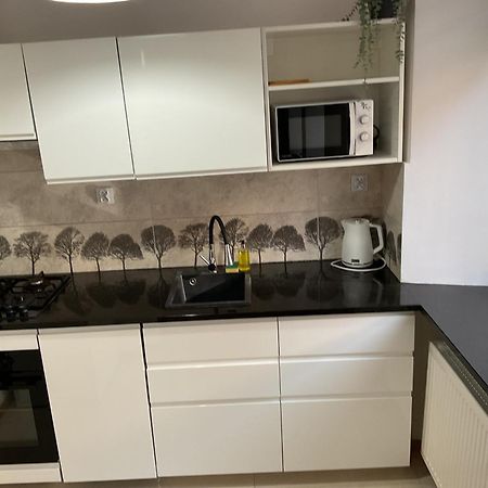 Ferienwohnung Omorika Na Zamkowej Krakau Exterior foto
